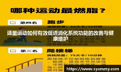 适量运动如何有效促进消化系统功能的改善与健康维护